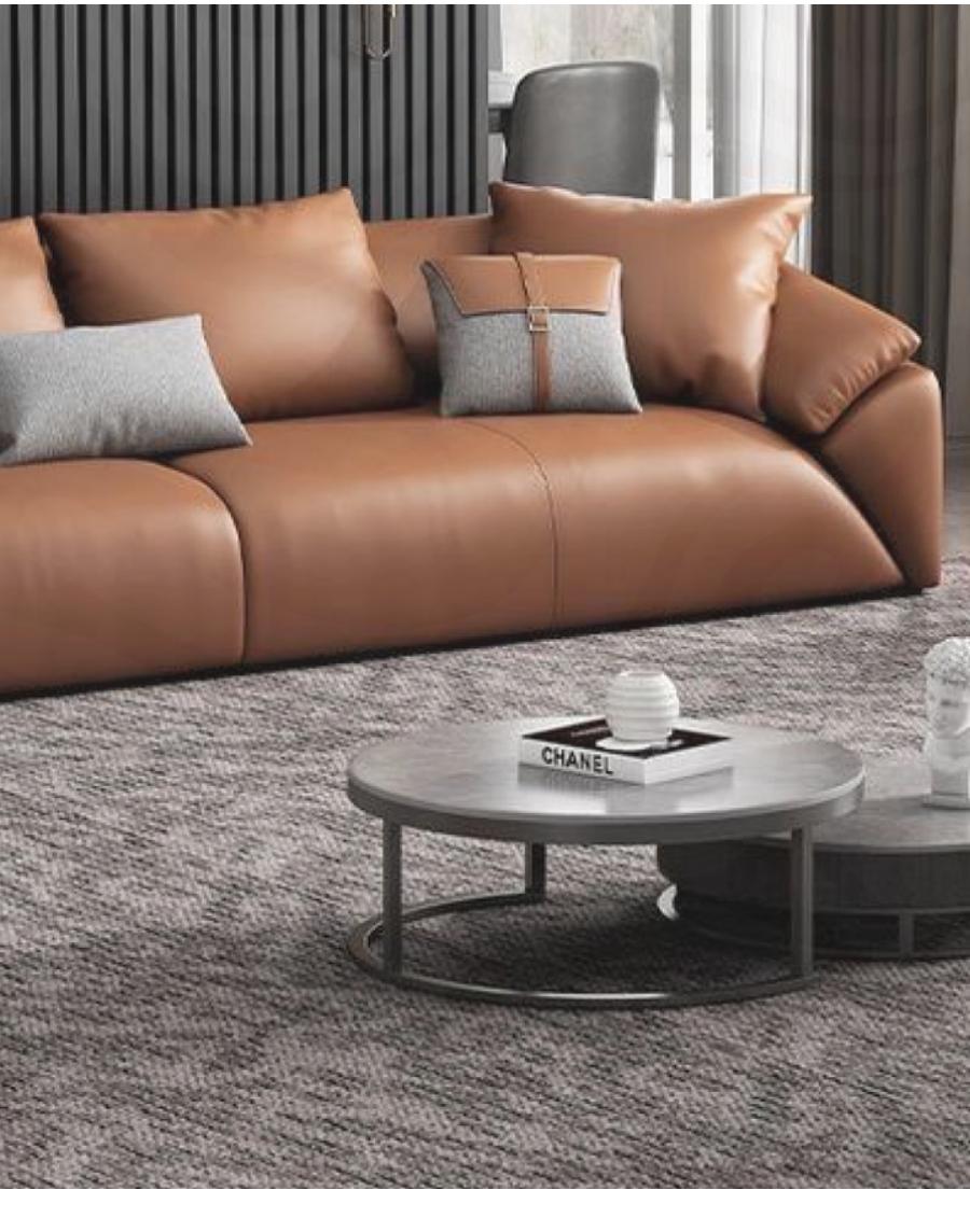 Canapé en cuir dans un salon